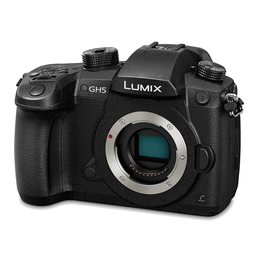 Panasonic GH5 Series